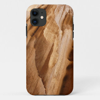 Zion Canyon Wall II Red Rock Abstract Photography iPhone 11 Case