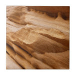 Zion Canyon Wall II Red Rock Abstract Photography Ceramic Tile