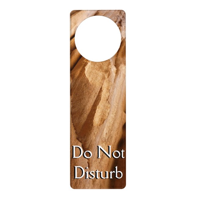 Zion Canyon Wall II Red Rock Abstract Photography Door Hanger (Front)