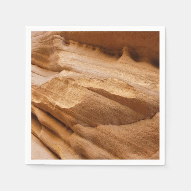 Zion Canyon Wall II Red Rock Abstract Photography Paper Napkins (Front)