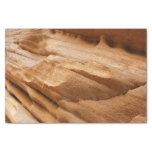 Zion Canyon Wall II Red Rock Abstract Photography Tissue Paper
