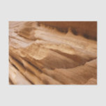 Zion Canyon Wall II Red Rock Abstract Photography Tissue Paper