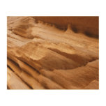Zion Canyon Wall II Red Rock Abstract Photography Wood Wall Decor