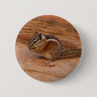 Zion Chipmunk on Red Rocks Button