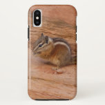 Zion Chipmunk on Red Rocks iPhone XS Case