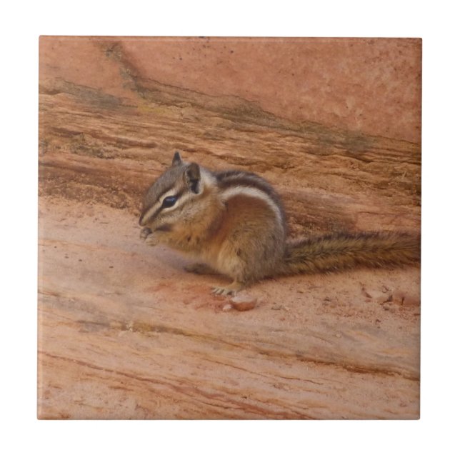 Zion Chipmunk on Red Rocks Ceramic Tile (Front)