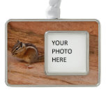 Zion Chipmunk on Red Rocks Christmas Ornament