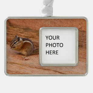 Zion Chipmunk on Red Rocks Christmas Ornament