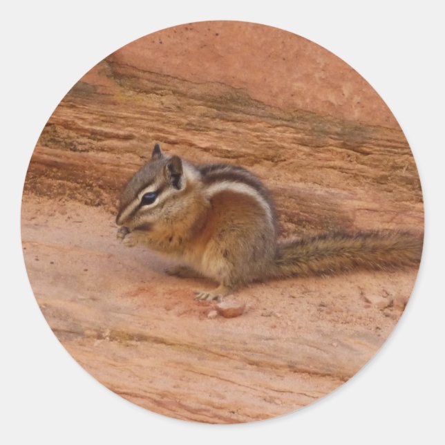 Zion Chipmunk on Red Rocks Classic Round Sticker (Front)