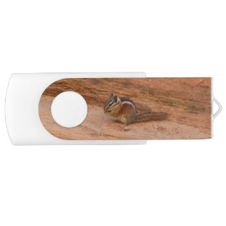 Zion Chipmunk on Red Rocks Flash Drive