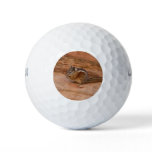 Zion Chipmunk on Red Rocks Golf Balls
