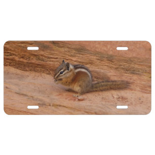 Zion Chipmunk on Red Rocks License Plate