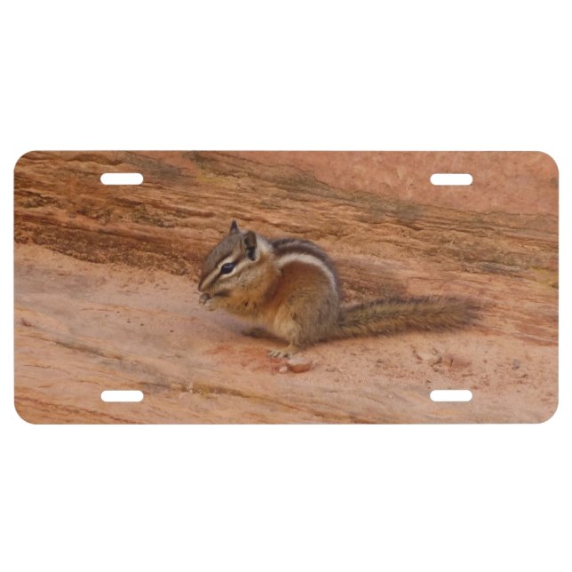Zion Chipmunk on Red Rocks License Plate (Front)