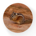 Zion Chipmunk on Red Rocks Paperweight