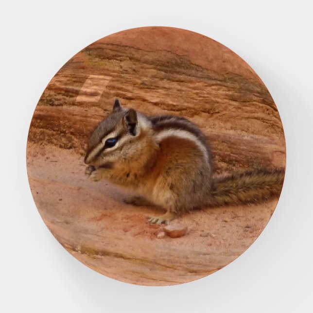 Zion Chipmunk on Red Rocks Paperweight (Front)