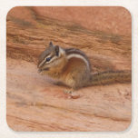 Zion Chipmunk on Red Rocks Square Paper Coaster