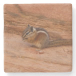 Zion Chipmunk on Red Rocks Stone Coaster