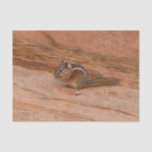 Zion Chipmunk on Red Rocks Tissue Paper