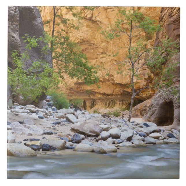 Zion Narrows Ceramic Tile (Front)