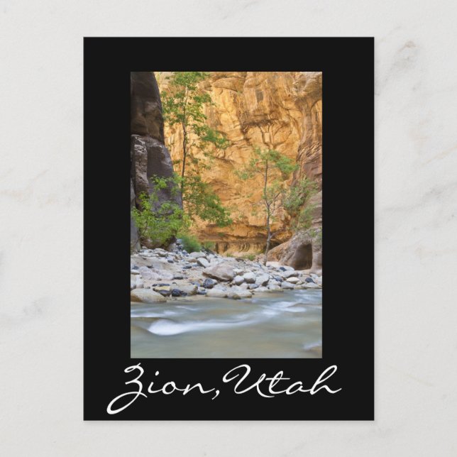 Zion Narrows Postcard (Front)