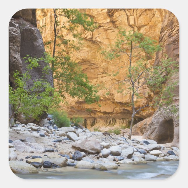 Zion Narrows Square Sticker (Front)