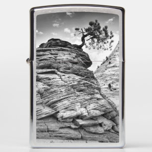 Zion National Park Bonsai Tree Black and White Zippo Lighter