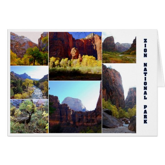 Zion National Park Collage Card (Front Horizontal)