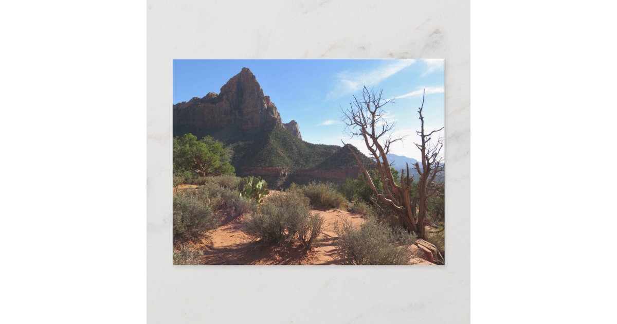 Zion National Park Postcard