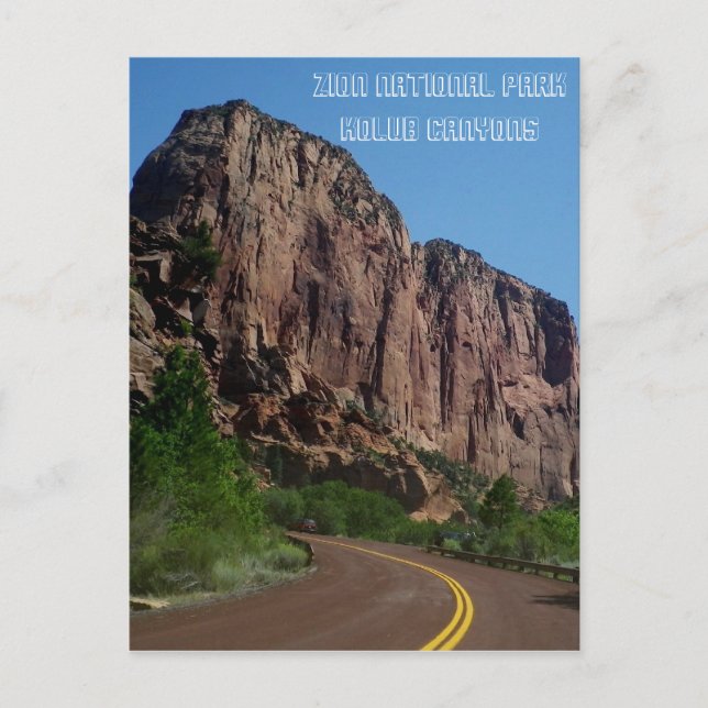 Zion National Park Postcard (Front)