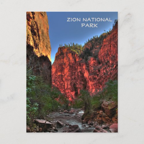 Zion National Park Postcard