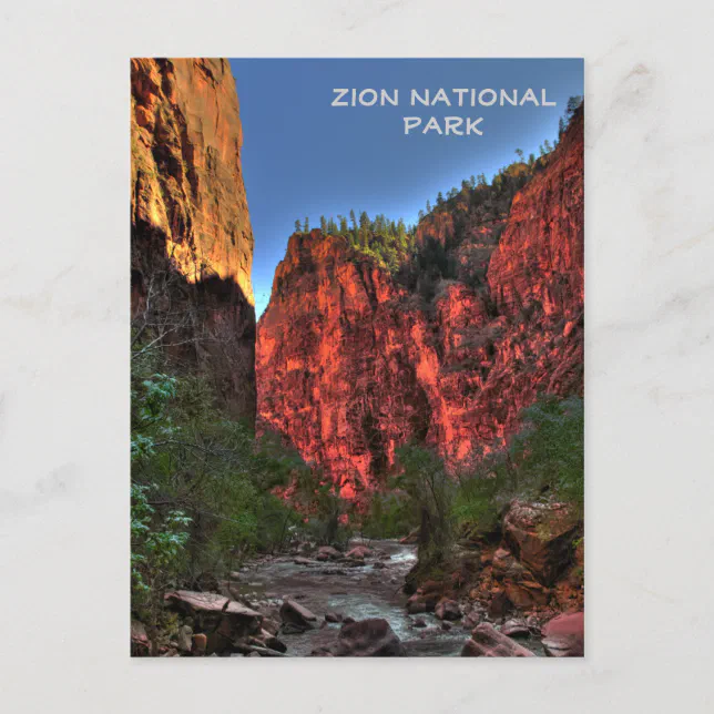 Zion National Park Postcard Zazzle