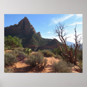 Zion National Park Poster