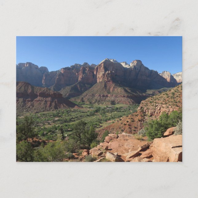 Zion National Park USA Postcard (Front)