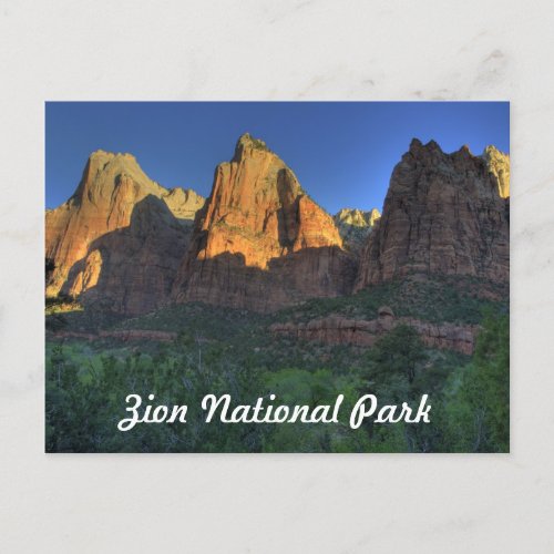 Zion National Park UT  Postcard