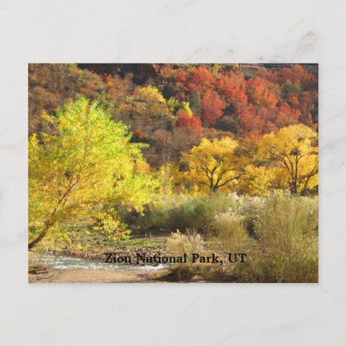 Zion National Park Utah Autumn Colors Scenery Postcard