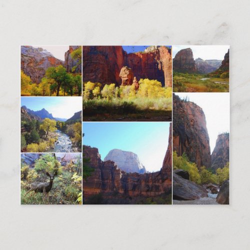 Zion National Park Utah Collage Postcard