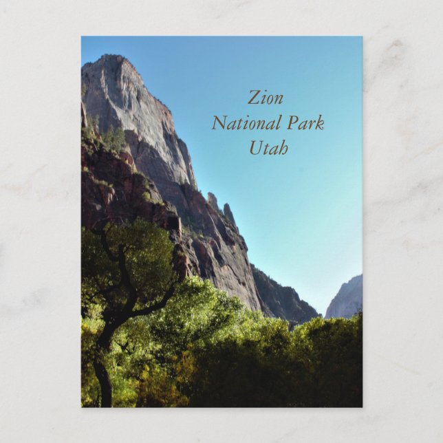 Zion National Park Utah Postcard (Front)