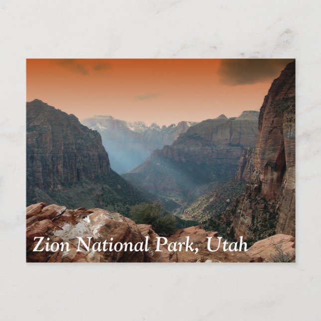 Zion National Park, Utah Postcard (Front)