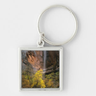 Zion National Park, Utah. USA. Ephemeral Keychain