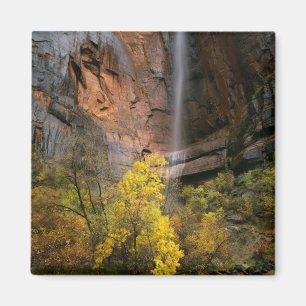 Zion National Park, Utah. USA. Ephemeral Magnet