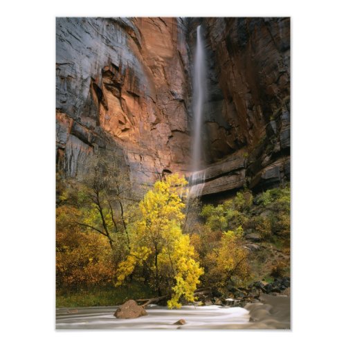 Zion National Park Utah USA Ephemeral Photo Print