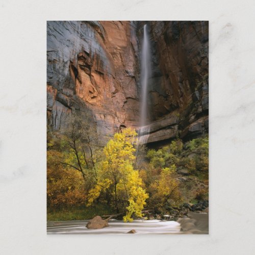 Zion National Park Utah USA Ephemeral Postcard