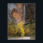 Zion National Park, Utah. USA. Ephemeral Postcard<br><div class="desc">Zion National Park,  Utah USA Ephemeral waterfall pours over cliff above Virgin River during autumn rain storm Temple of Sinawava,  Zion Canyon Colorado Plateau � Scott T. Smith / DanitaDelimont.com</div>