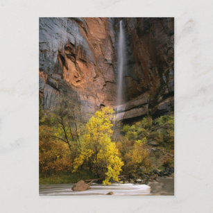Zion National Park, Utah. USA. Ephemeral Postcard