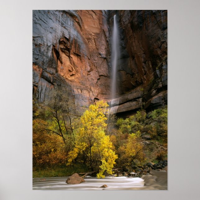 Zion National Park, Utah. USA. Ephemeral Poster (Front)