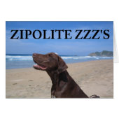 ZIPOLITE ZZZ'S (Front Horizontal)