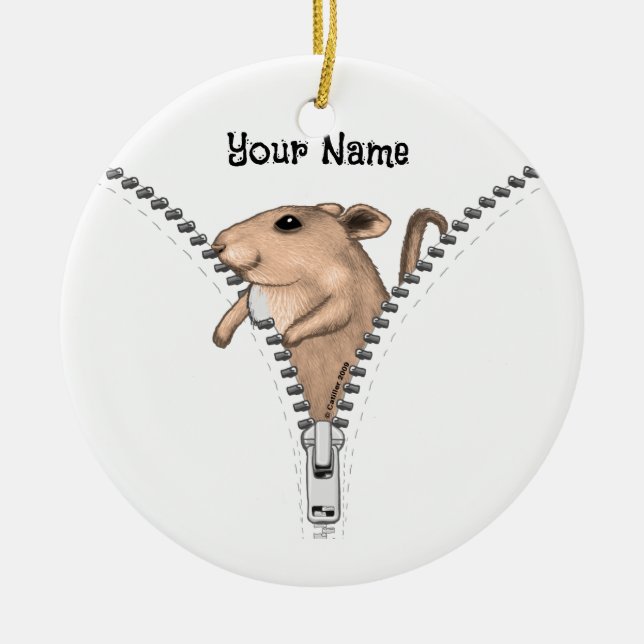 Zipper Mouse  Ceramic Ornament (Front)
