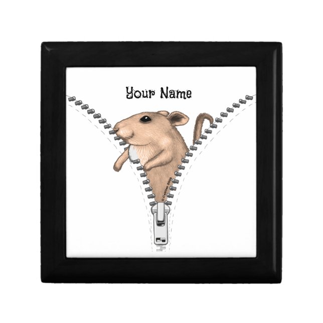 Zipper Mouse  Gift Box (Front)