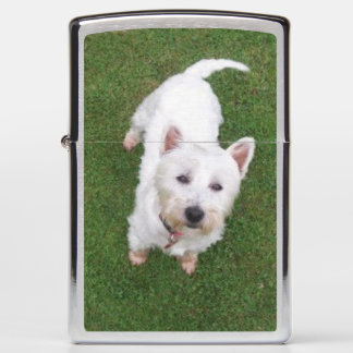 Zippo Brushed Chrome Westie Pocket Lighter