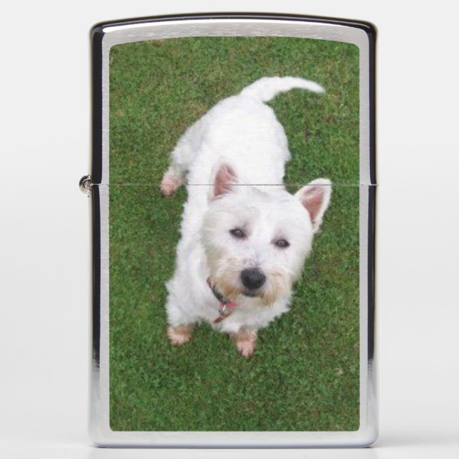 Zippo Brushed Chrome Westie Pocket Lighter (Front)